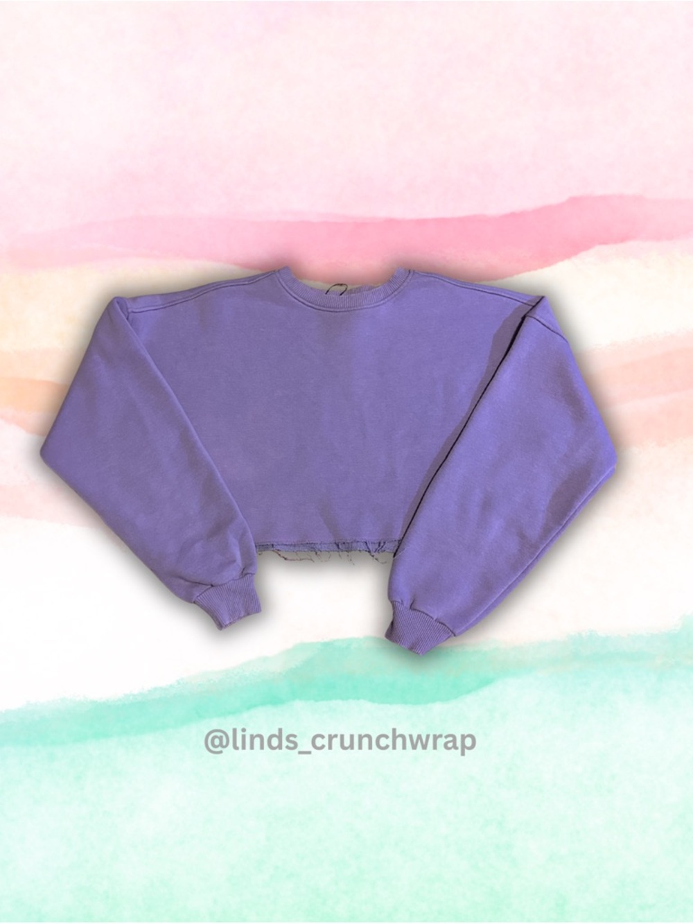 Nasty Gal Crop Sweatshirt NWT